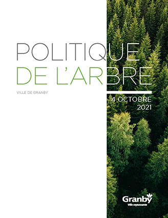 Politique de l'arbre