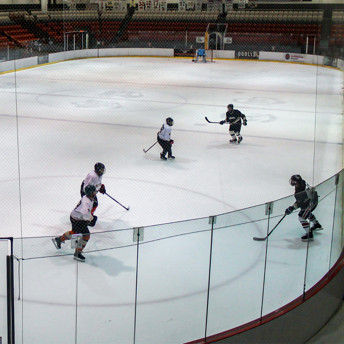 Patins et hockey