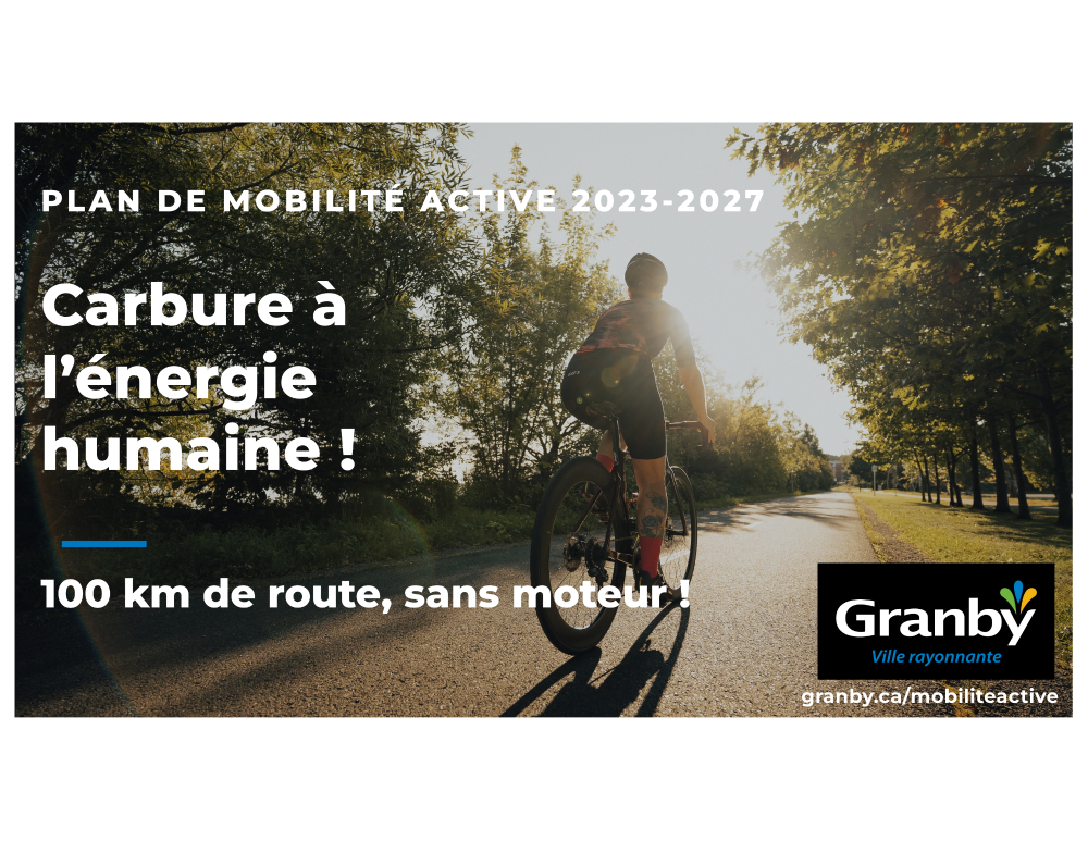 Prévisualisation