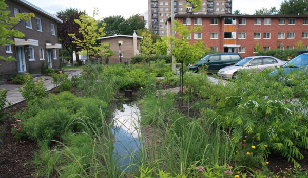 Jardin de pluie dans un stationnement