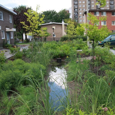 Jardin de pluie dans un stationnement