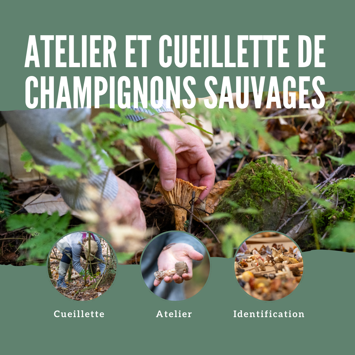 Atelier et cueillette de champignons sauvages<br/>Samedi 20 septembre et dimanche 21 septembre