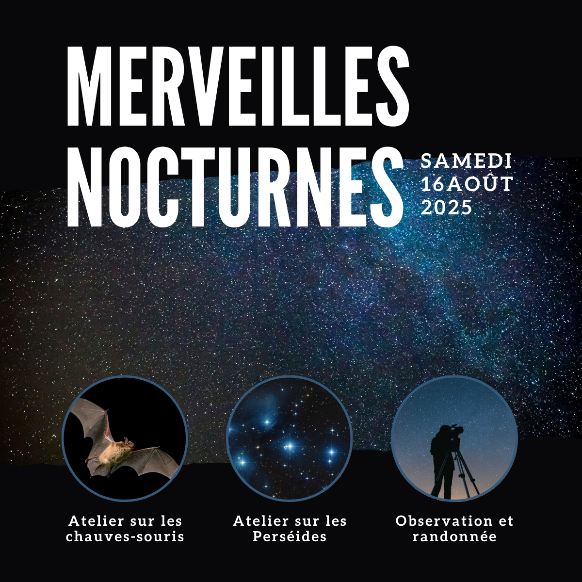 Merveilles nocturnes au CINLB<br/>16 août 2025