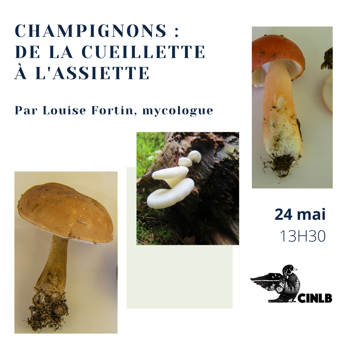 Champignons : de la cueillette à l'assiette<br/>24 mai 2025