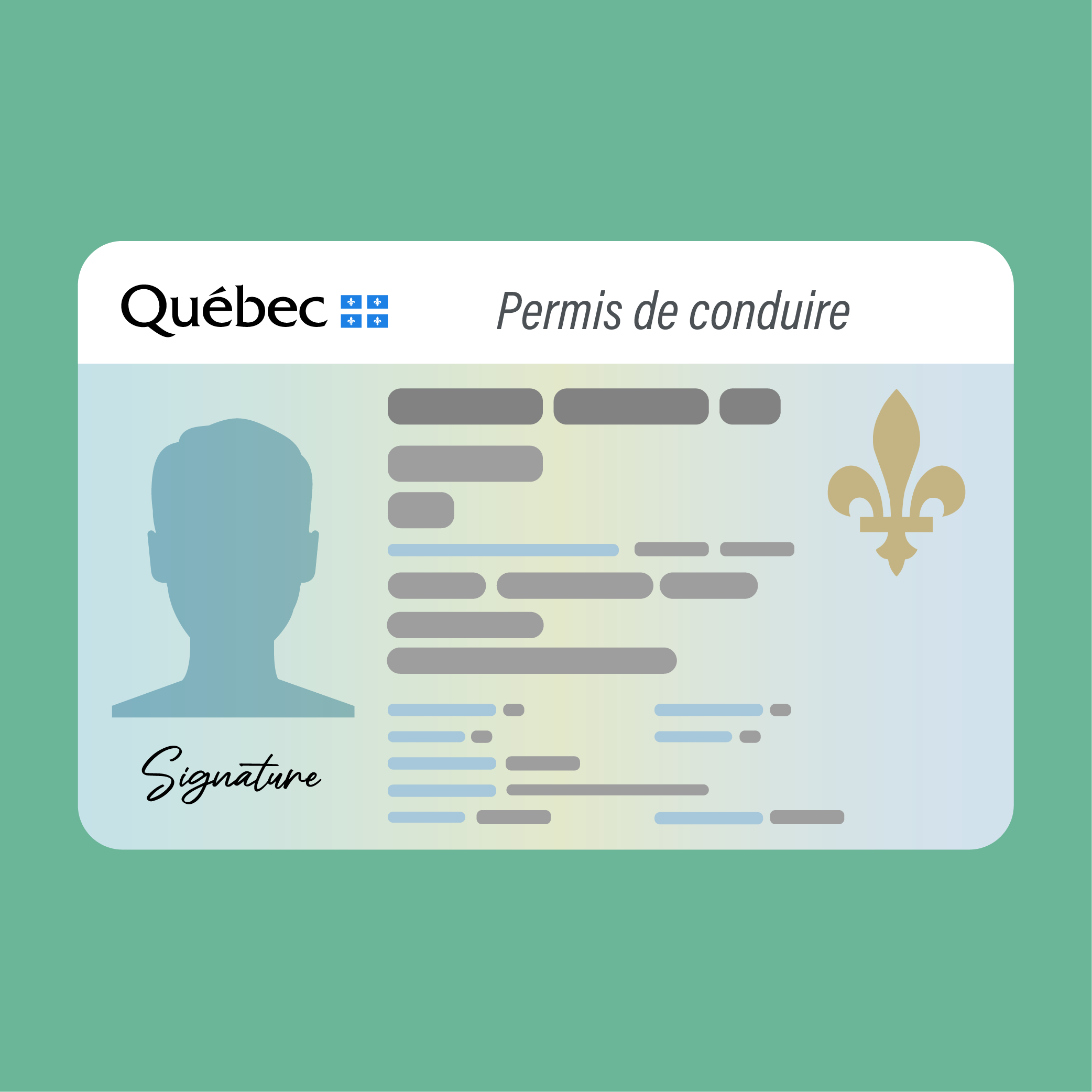 Permis de conduire